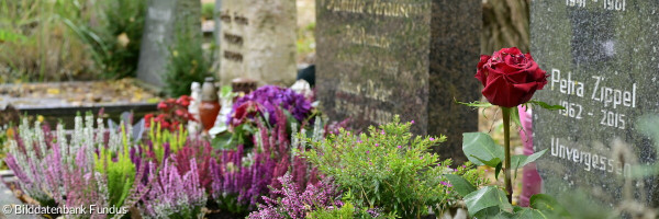 Pflanzen auf Gräbern