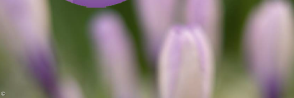 Gemeindebrief von März bis Mai 2026