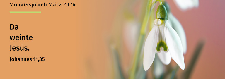 Monatsspruch März 2026